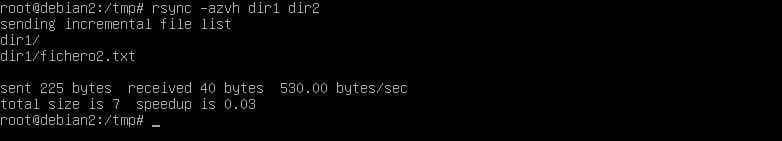 rsync