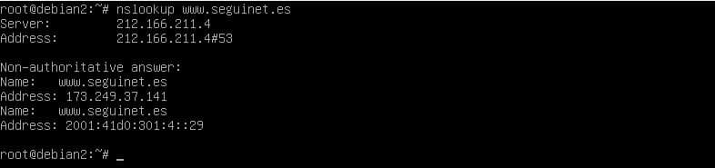 nslookup